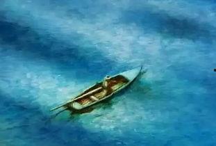 老人与海的故事视频,老人与海的坚韧与智慧