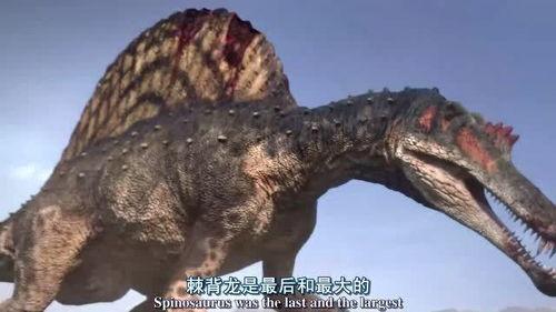 脊龙视频,揭秘史前巨兽的神秘生活