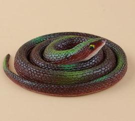 玩具蛇视频,趣味互动，亲子时光新选择