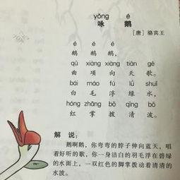 古诗视频大全,古诗视频大全赏析