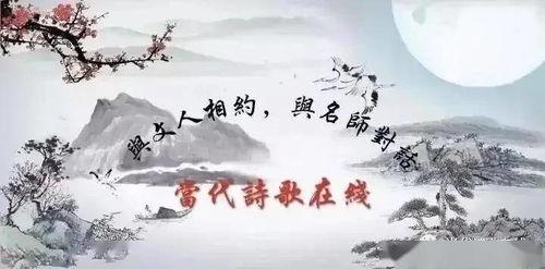 古诗视频大全,古诗视频大全赏析